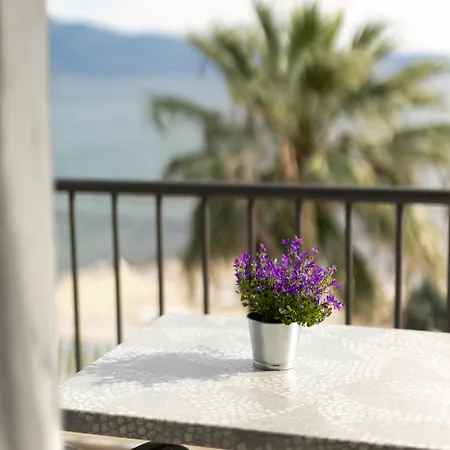 Calma Hotel